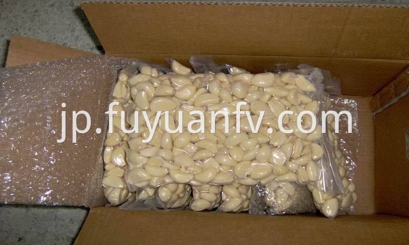 vacuum packed peeled garlic 